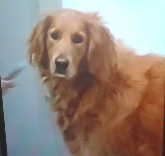 Screenshot 2025-08-26 164100