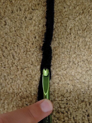 IMG_17611082068168735324897132657435