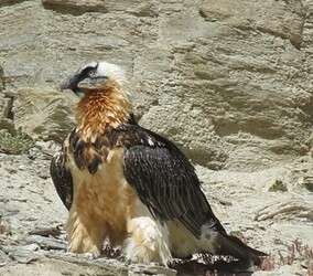 Screenshot 2025-11-01 202700