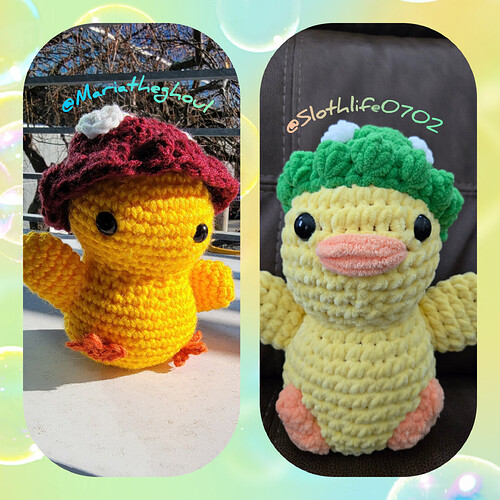 InShot_20260110_074453527