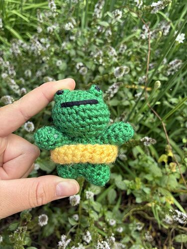 IMG_0652