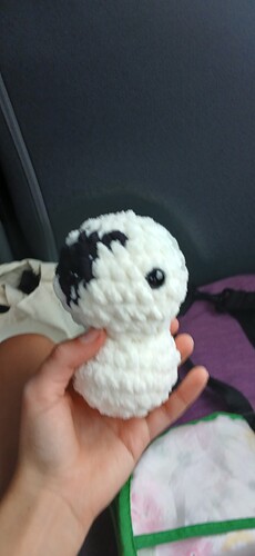 IMG_17525006495068267181502639237513