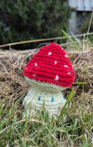 PXL_20250728_174902629.MP~2