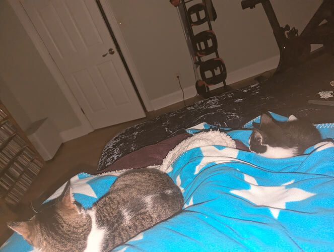 PXL_20260126_053841369