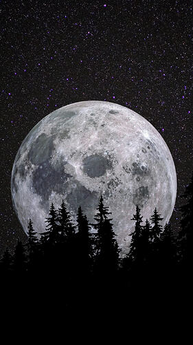 full-moon-forest-night-dark-starry-sky-5k-8k-2160x3840-1684