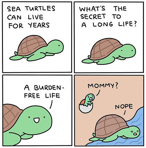 Turtle-meme-1-67067bb7778e1__700
