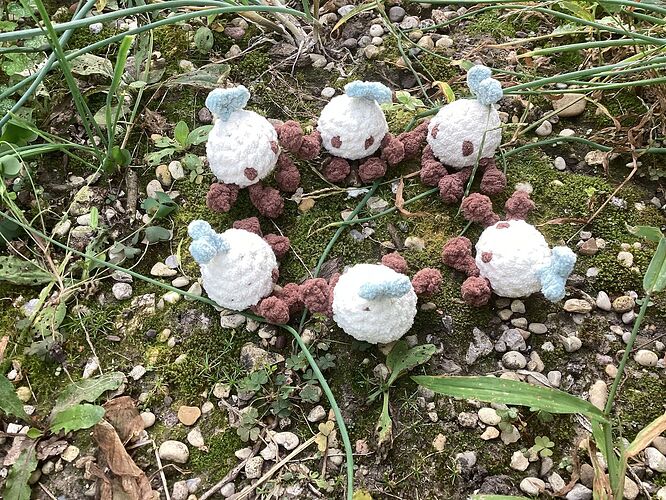 IMG_0515