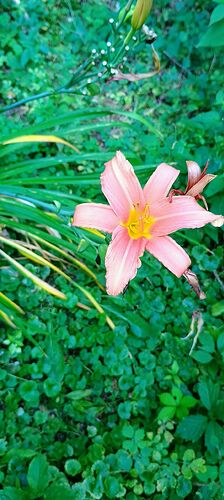 IMG_20250816_161922587_AE