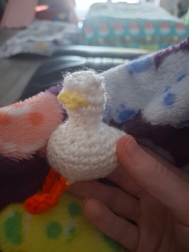 IMG_17574306690123061504730972400803