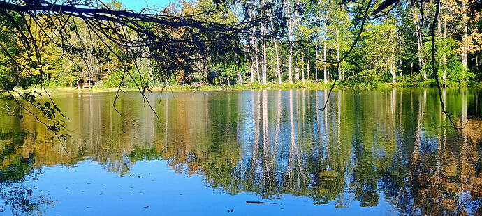 IMG_20250919_155643094_HDR_AE