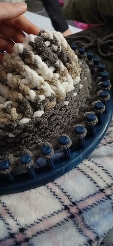 IMG_17659279362351067206077159653939