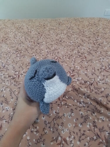 IMG_17639217516463657292376384054387