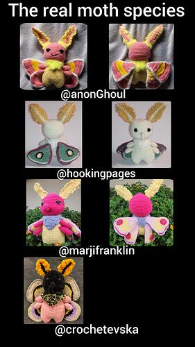 InCollage_20250221_022159255