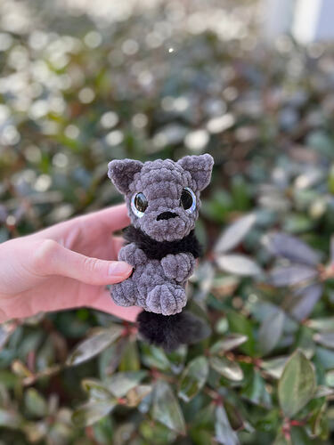 Image_20260214_112455_557