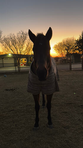 6E89A3FE-EBC8-4B94-BCEE-70CC19E5C269