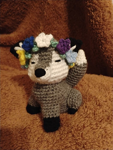 IMG_20260128_202333768