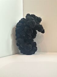 IMG_0657