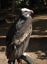 Screenshot 2025-11-01 202649