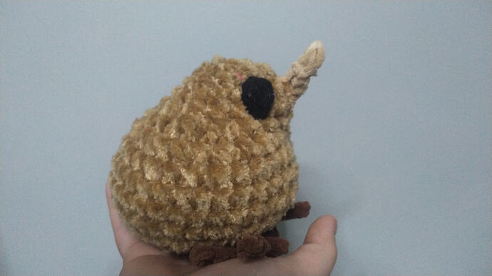 IMG_17667977655487257249867021132503