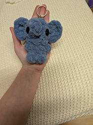 PXL_20260210_170559986 (1)