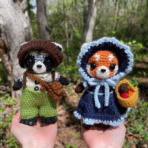 Raccoon and Red Panda - 1