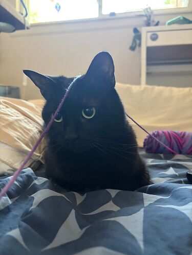 Luna