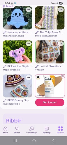 Screenshot_20250820_095445_Ribblr