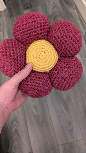 PXL_20260125_230736616