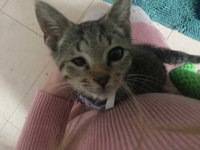 9CF2317D-4056-46AC-98EE-2FB35B075412