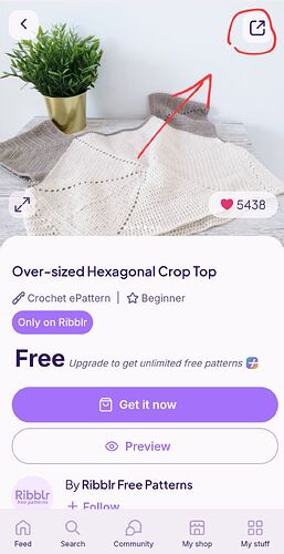 Screenshot_20260817_120213_Ribblr