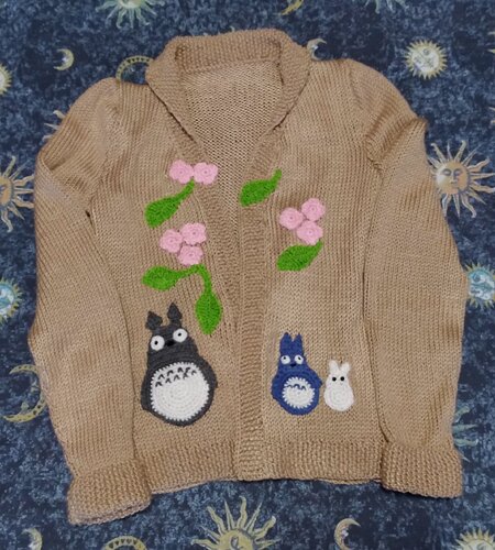 Cardigan 1