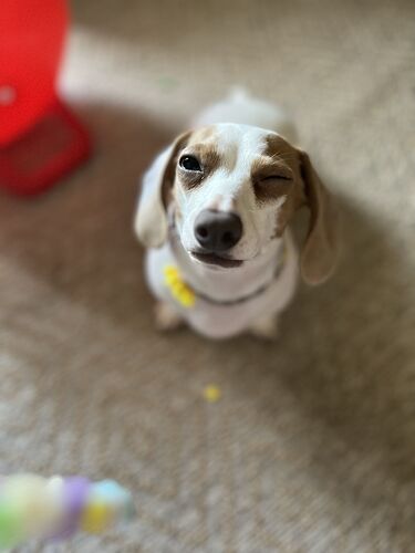 IMG_0910