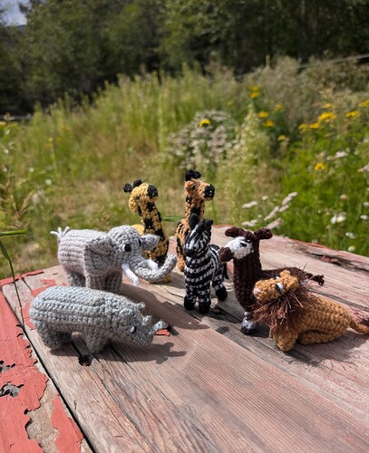 PXL_20250820_191104452~2