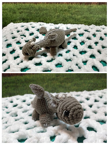 20250927_235156-COLLAGE