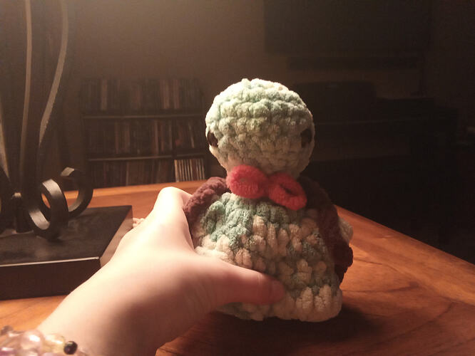 17710767766053794000407026840317