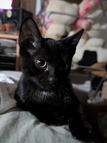 PXL_20250821_222526811.PORTRAIT