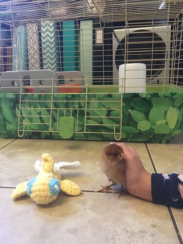 IMG_2848