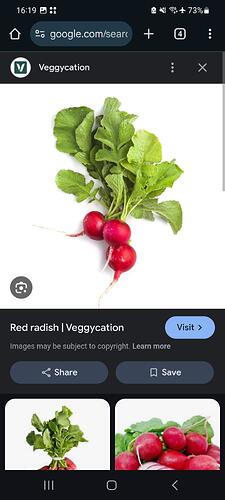 Screenshot_20250309_162000_Chrome