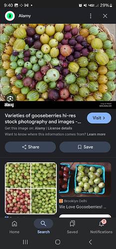 Screenshot_20250115_214013_Google
