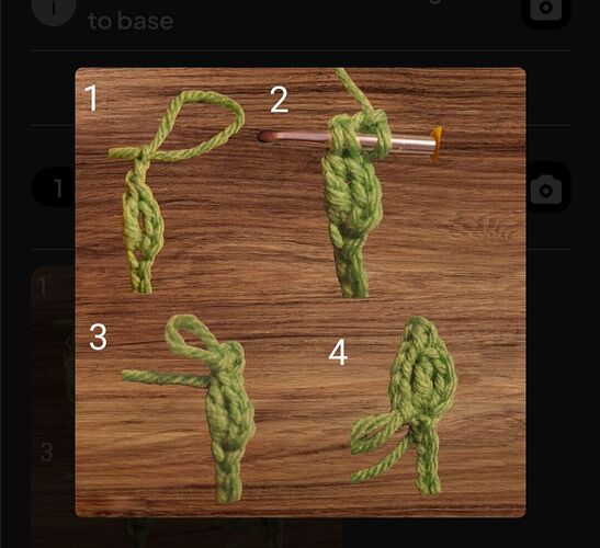 Screenshot_20260228_100239_Ribblr