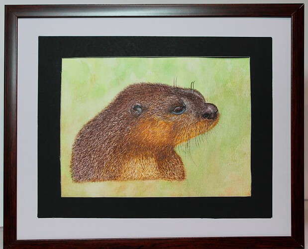 Sea Otter Final Submission