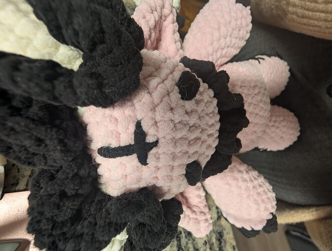 PXL_20251125_213501637