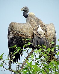 Screenshot 2025-11-01 202341