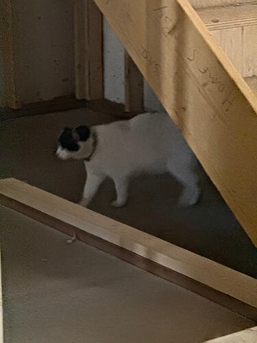 78139049075__5F425E0E-FC66-427F-BAA7-770170F52387