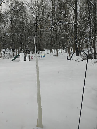 IMG_20260225_093343578