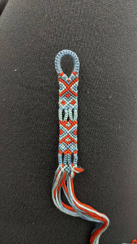 PXL_20260219_225826868.MP