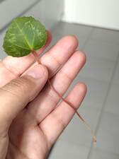 IMG_20260428_160144