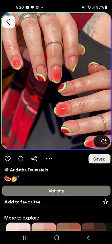 Screenshot_20250424-203017_Pinterest