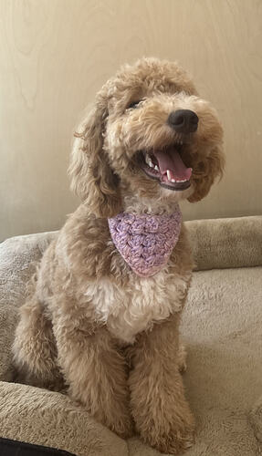 FullSizeRender