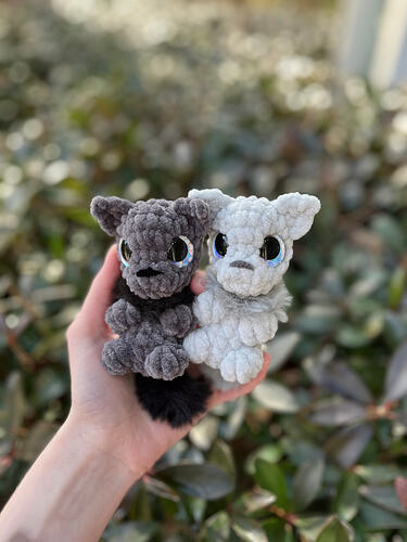 Image_20260214_112455_414